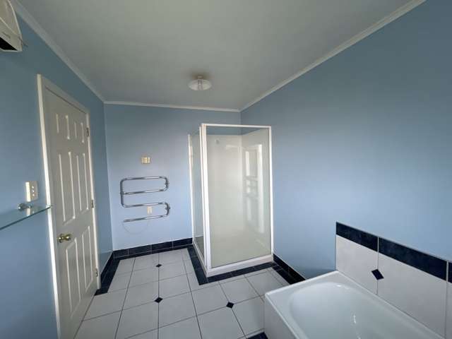 20A Springfield Road 1147_3