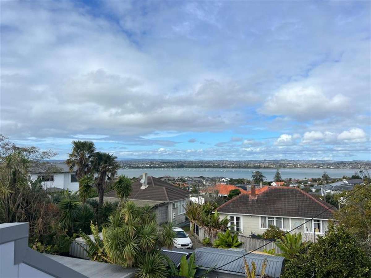 237 West Tamaki Road_1
