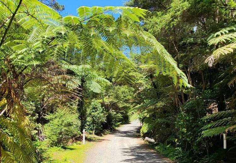 10 Wilson Avenue Kawau Island_14