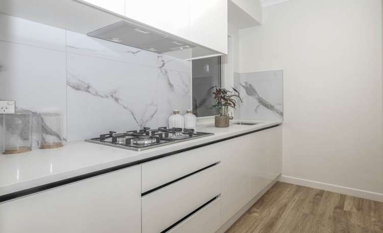 129 Thomas Road Flat Bush_11