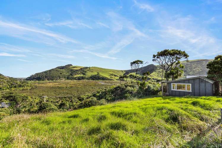 158 Bethells Road Bethells Beach_32