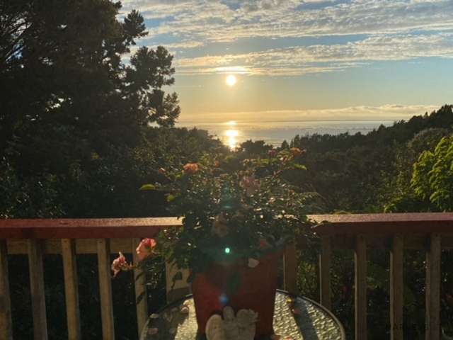 38 Rauhuia Crescent Parau_2