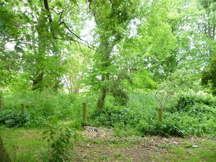 1065 Mangaone Valley Road Eketahuna_15