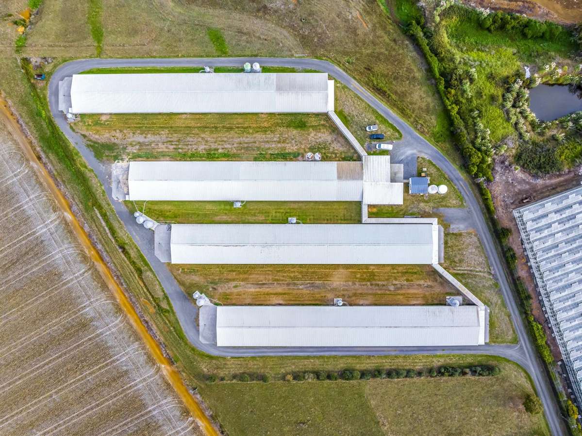 369 Mercer Ferry Road_2