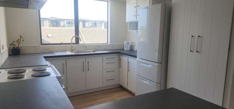 1 Nukumea Common Orewa_9