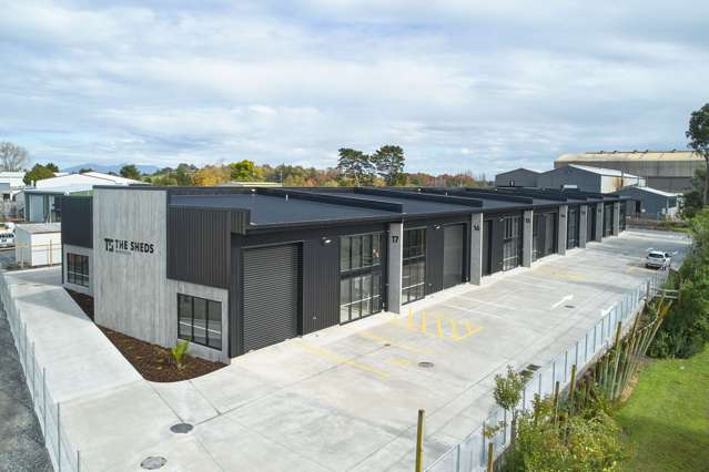 Brand new industrial units in Riverlea