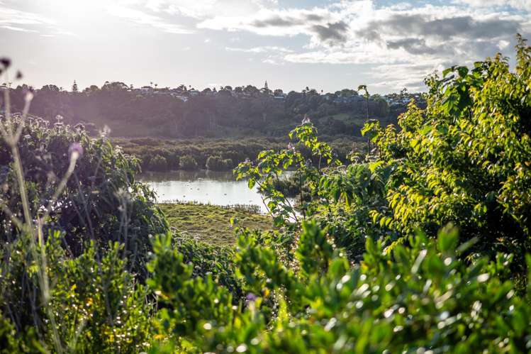 Lot 2 Egret Way Kerikeri_15