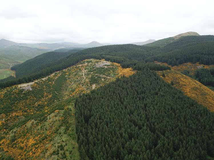 Palmerston-Waikouaiti Road Palmerston_14