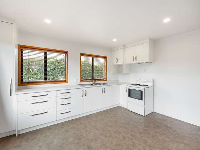 1202a Victoria Street Whitiora_1