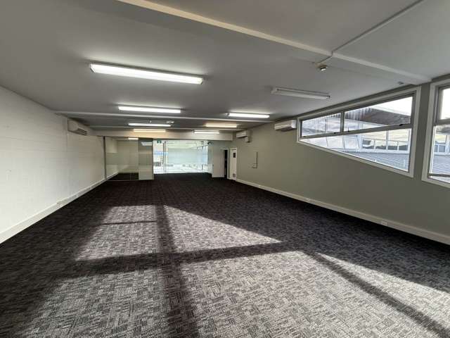 36 Williamson Avenue Grey Lynn_3