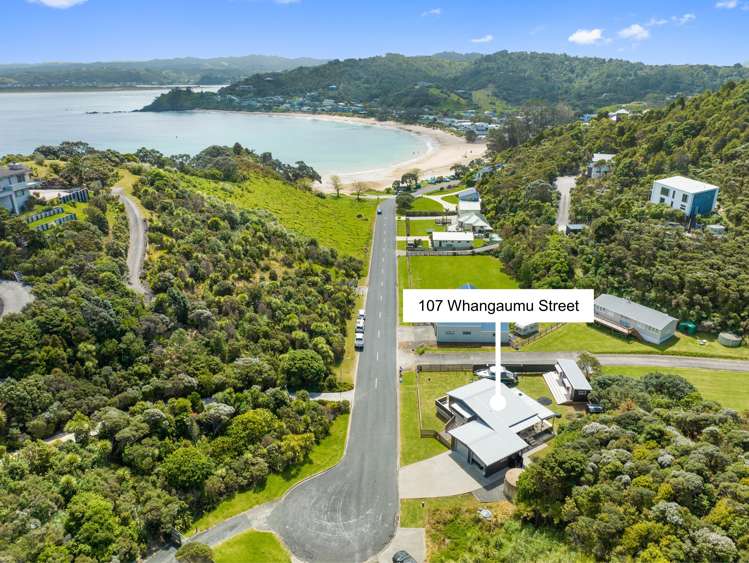 107 Whangaumu Street_0