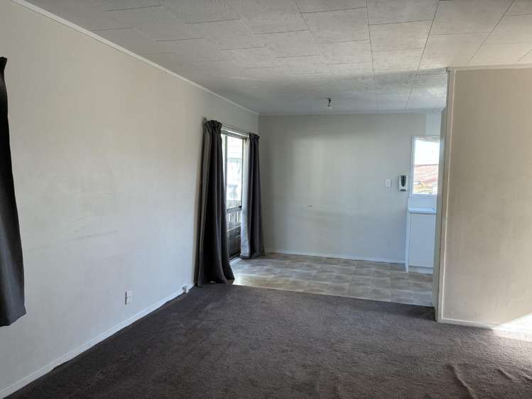 115 Finlayson Avenue Clendon Park_2