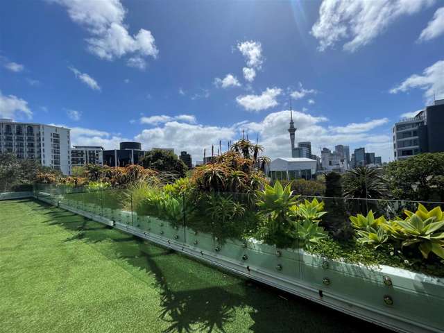 385 Queen Street Auckland Cbd_4