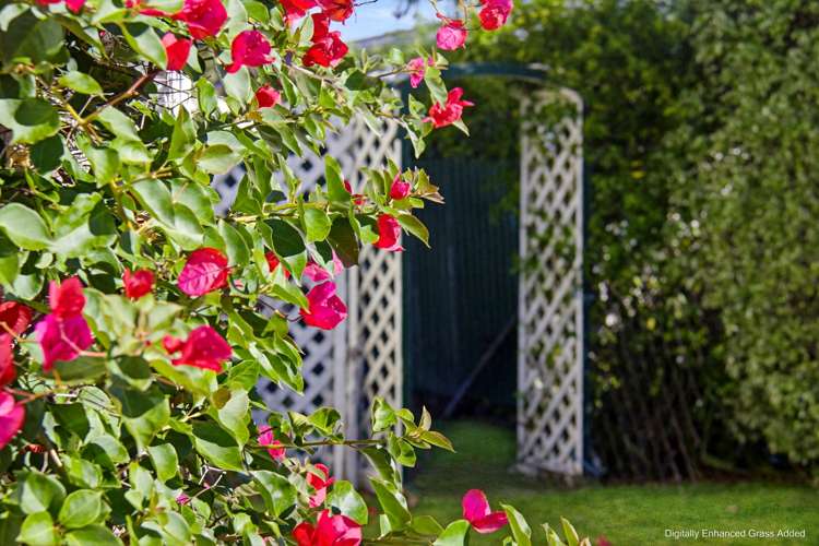 144 Cockburn St Masterton_29