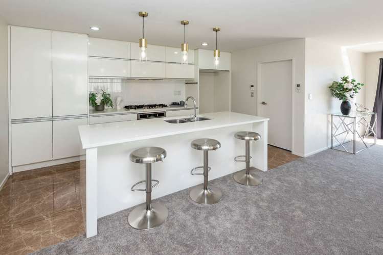 386 Ormiston Road Flat Bush_3