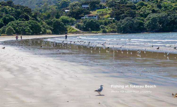 12 Bay Heights Drive Karikari Peninsula_6