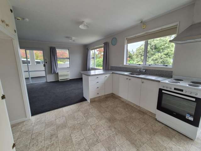 45 Havelock Street Renwick_1