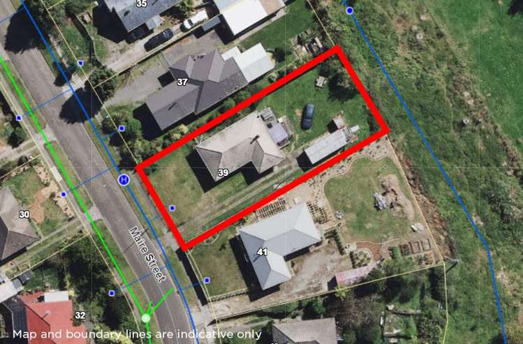 39 Maire Street Wairakei and Surrounds_4