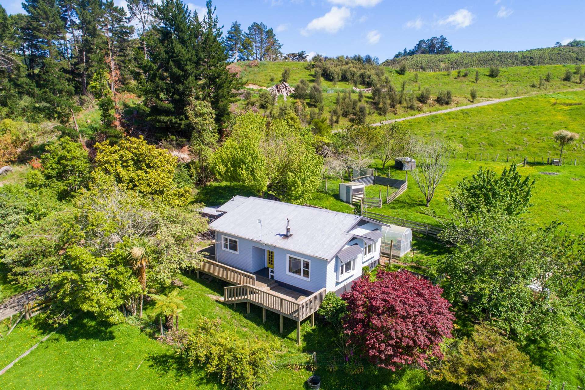 941 Finnis Road Pohangina_0