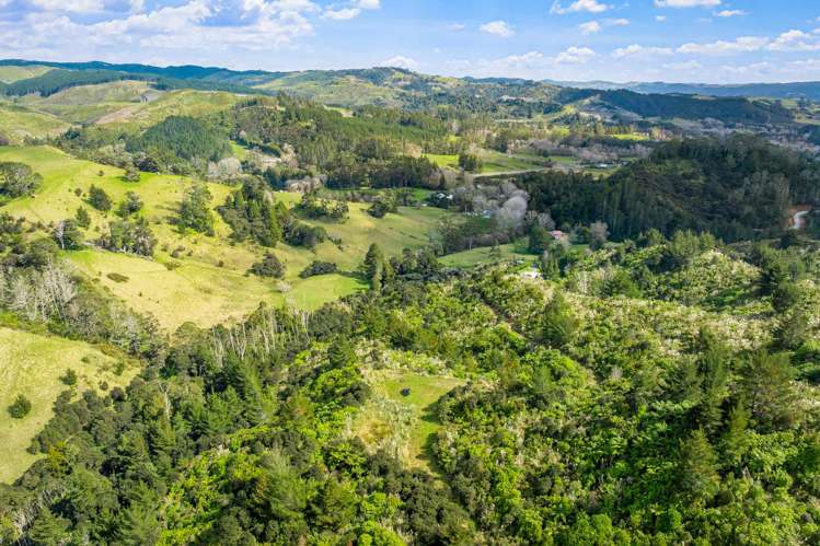 Lot 3 Radiata Road Warkworth_8