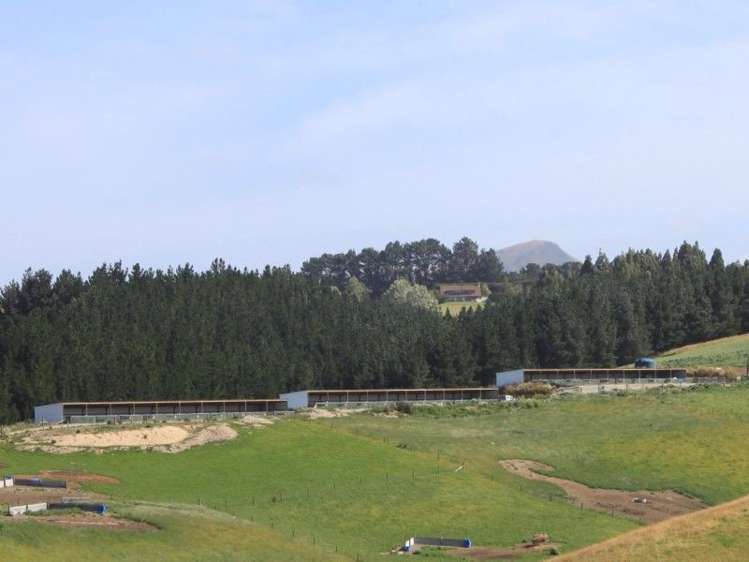 171 Hughes Road Palmerston_6