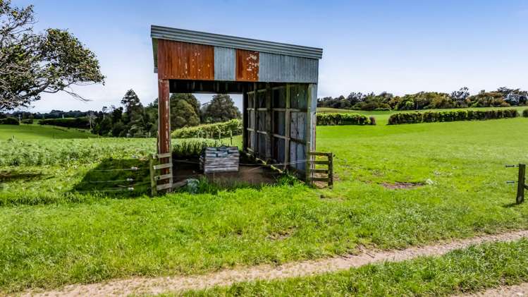 165 Oxford Road Okato_37