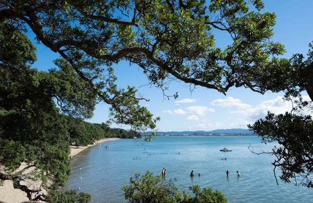 1/22 Wainui Avenue Pt Chevalier_2