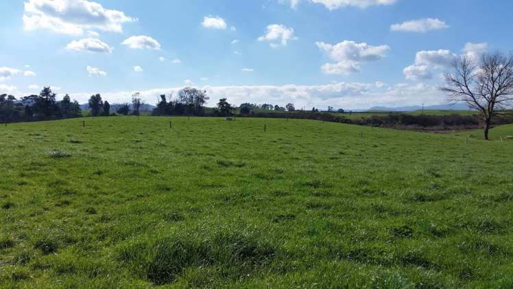 1966 Gordonton Road Taupiri_18