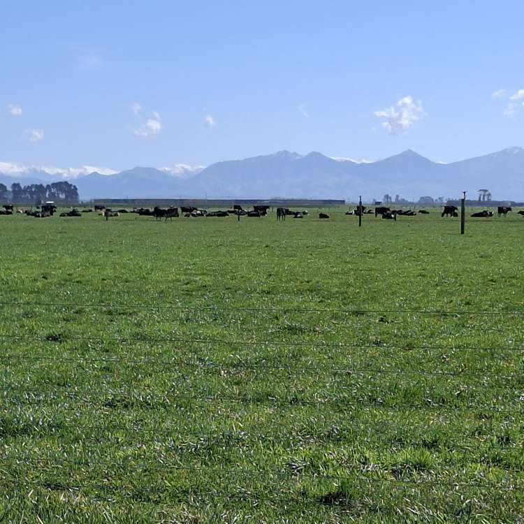 76 Rangitata Huts Road Clandeboye_13