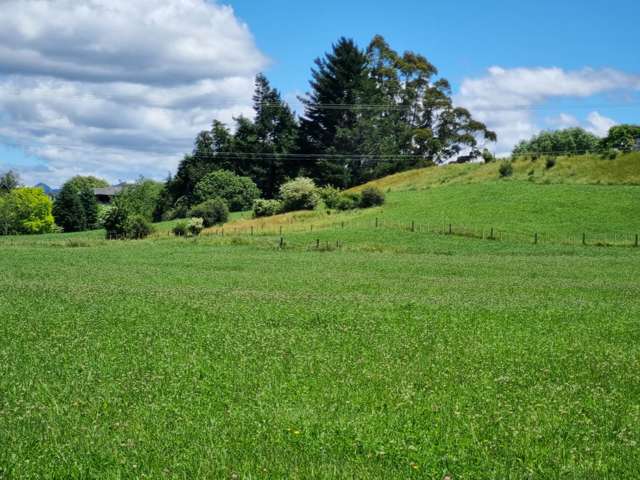 2/2 Hogg Road Onepu_4