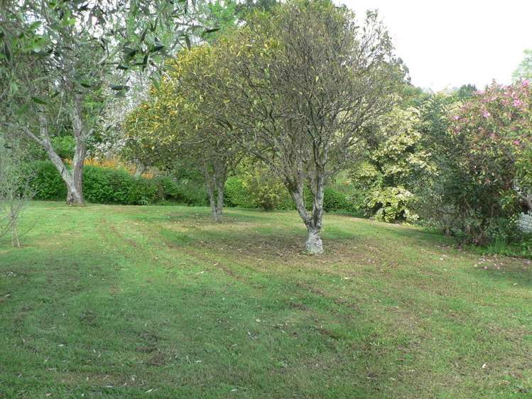 29 Ballance Street Kihikihi_5