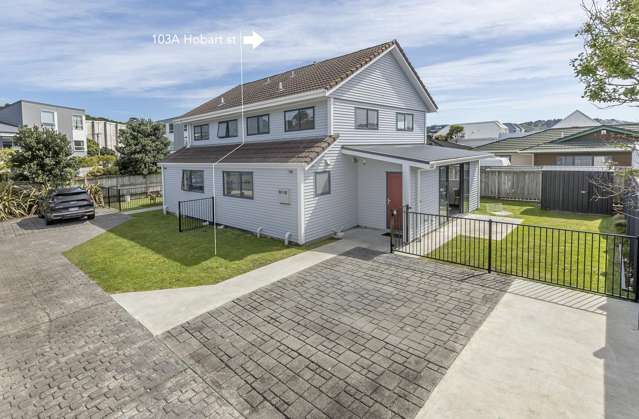 103a Hobart Street Miramar_2