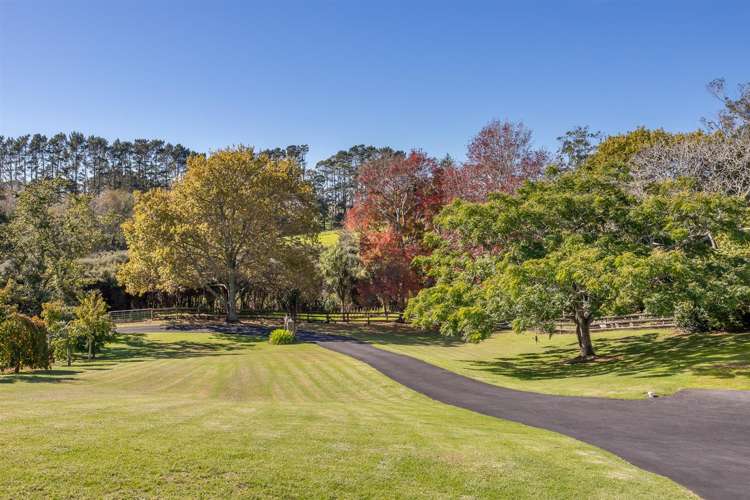 171 Annandale Road Taupaki_5