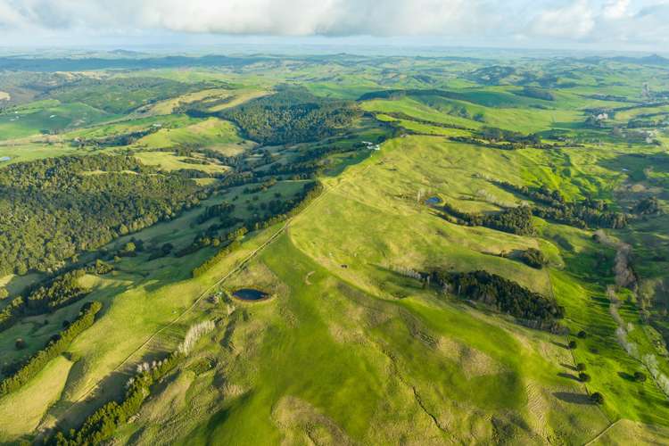 85 Lusk Road Ruawai_18