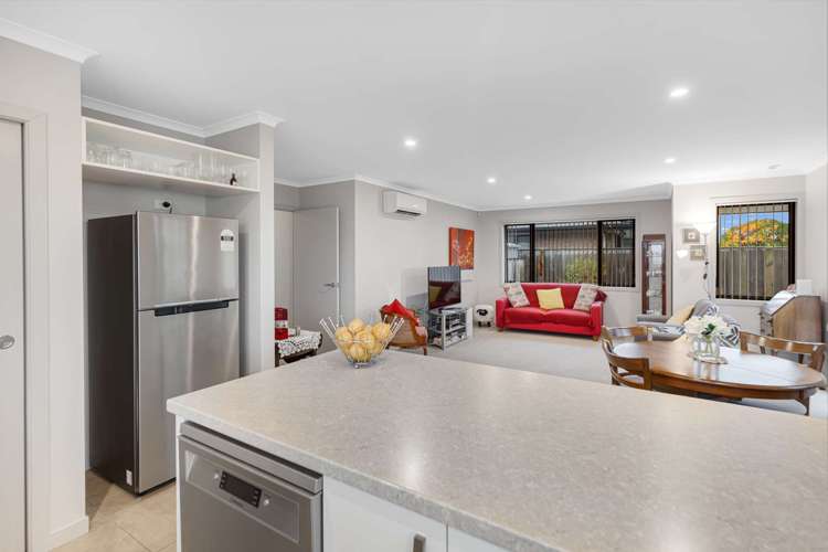 49 Cuba Street Takaro_12