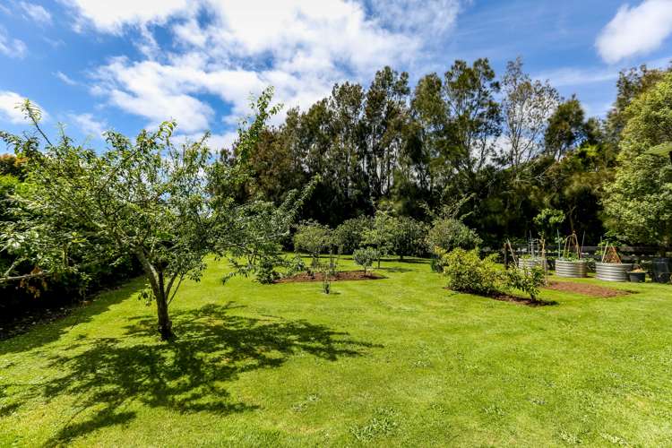 200 Dorset Road Hillsborough_16