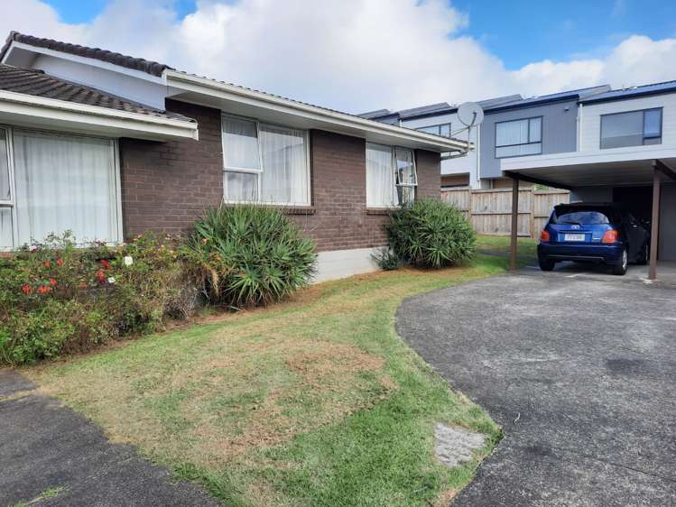 129 Gardner Avenue New Lynn_15