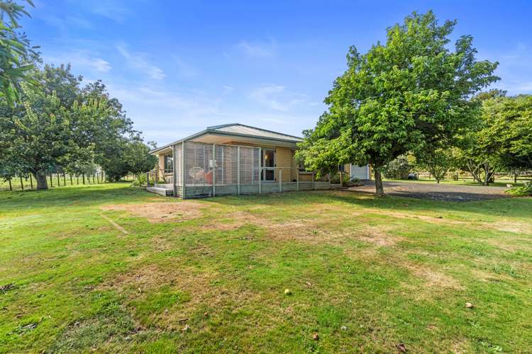 690 Frontier Road Pirongia_19