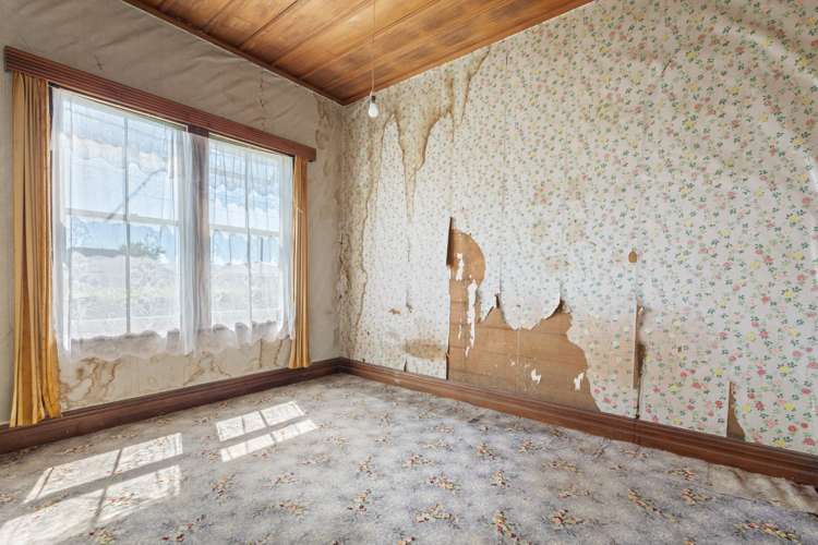 40 Taylor Avenue Paeroa_5