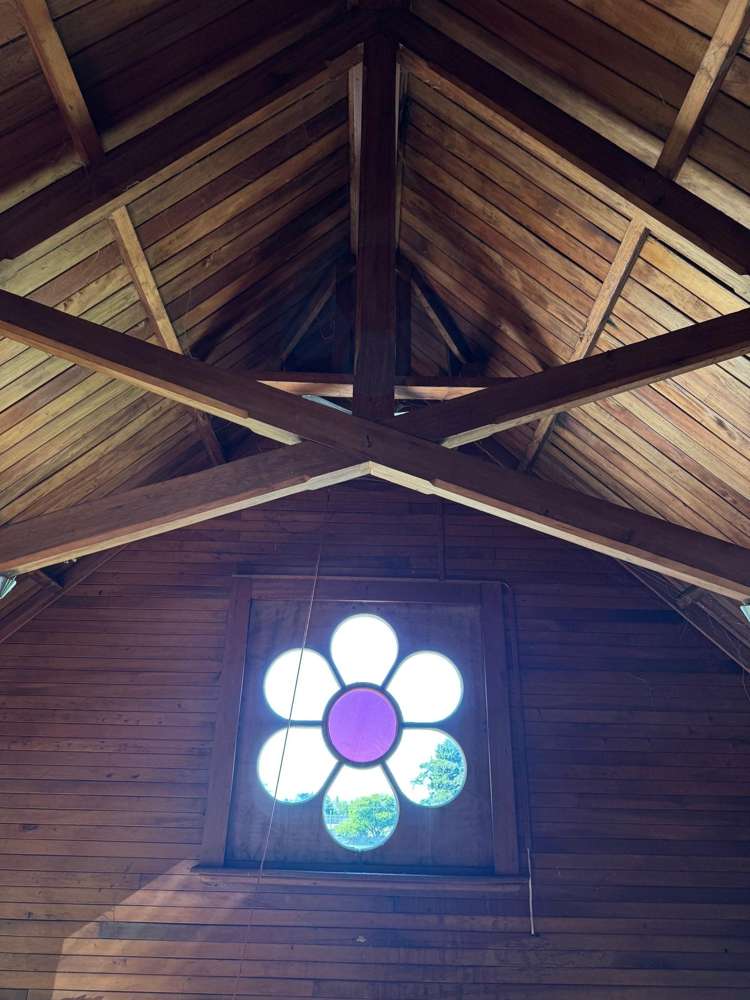 221 Beechey Street Pirongia_17