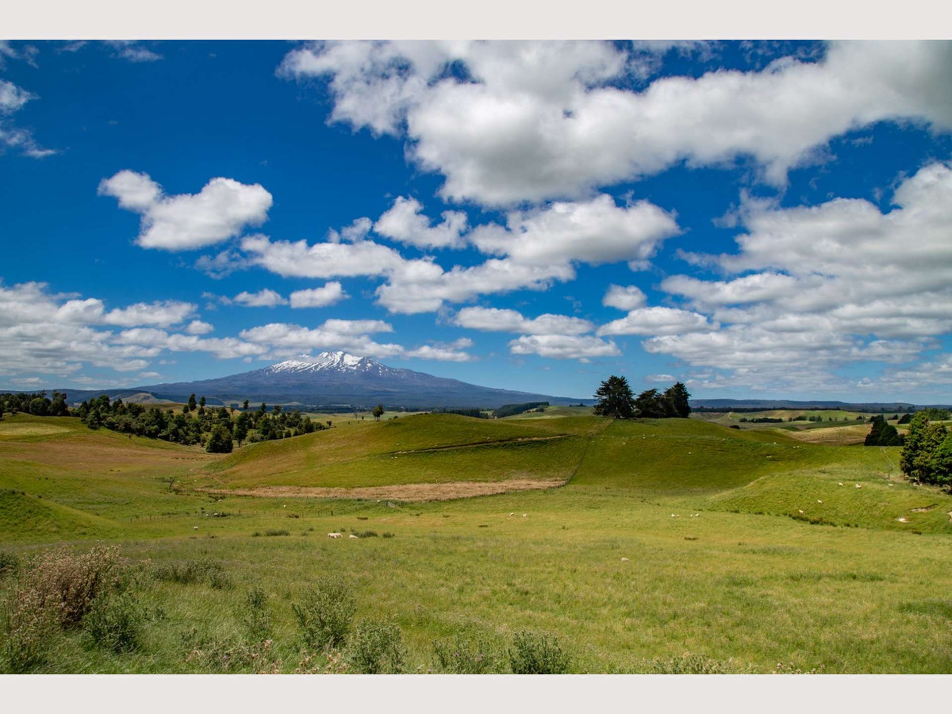 269 Kopurutuku Road Ohakune_0