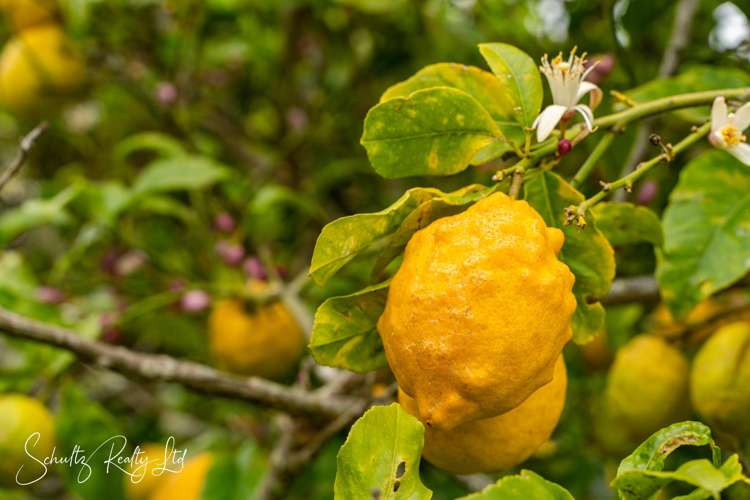 67 Taipuha Settlement Road Paparoa_31