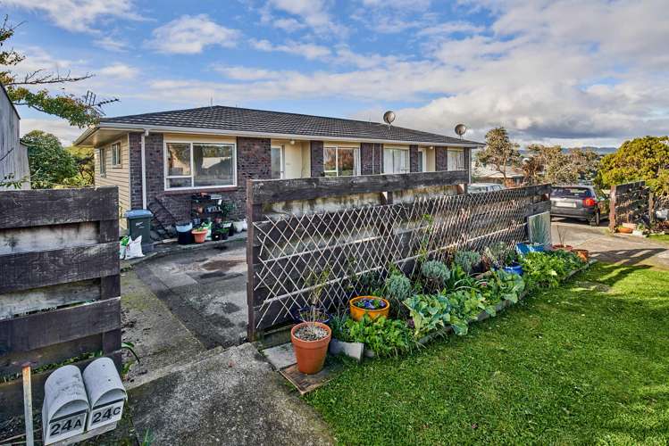 24c The Track Plimmerton_10