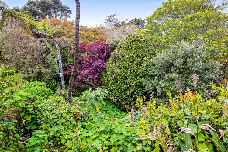 15 Wrantage Street Westown_18