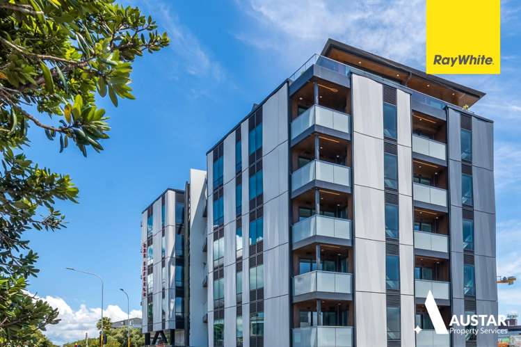 501/1 Enfield Street Mount Eden_10