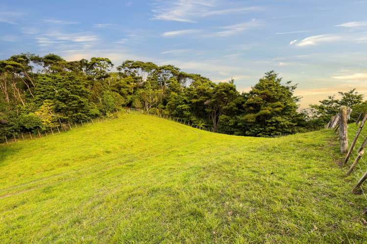 85 Taylor Road Waimauku_7