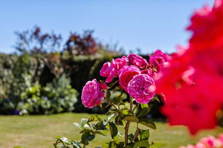 33 Thomas Street Ranfurly_21