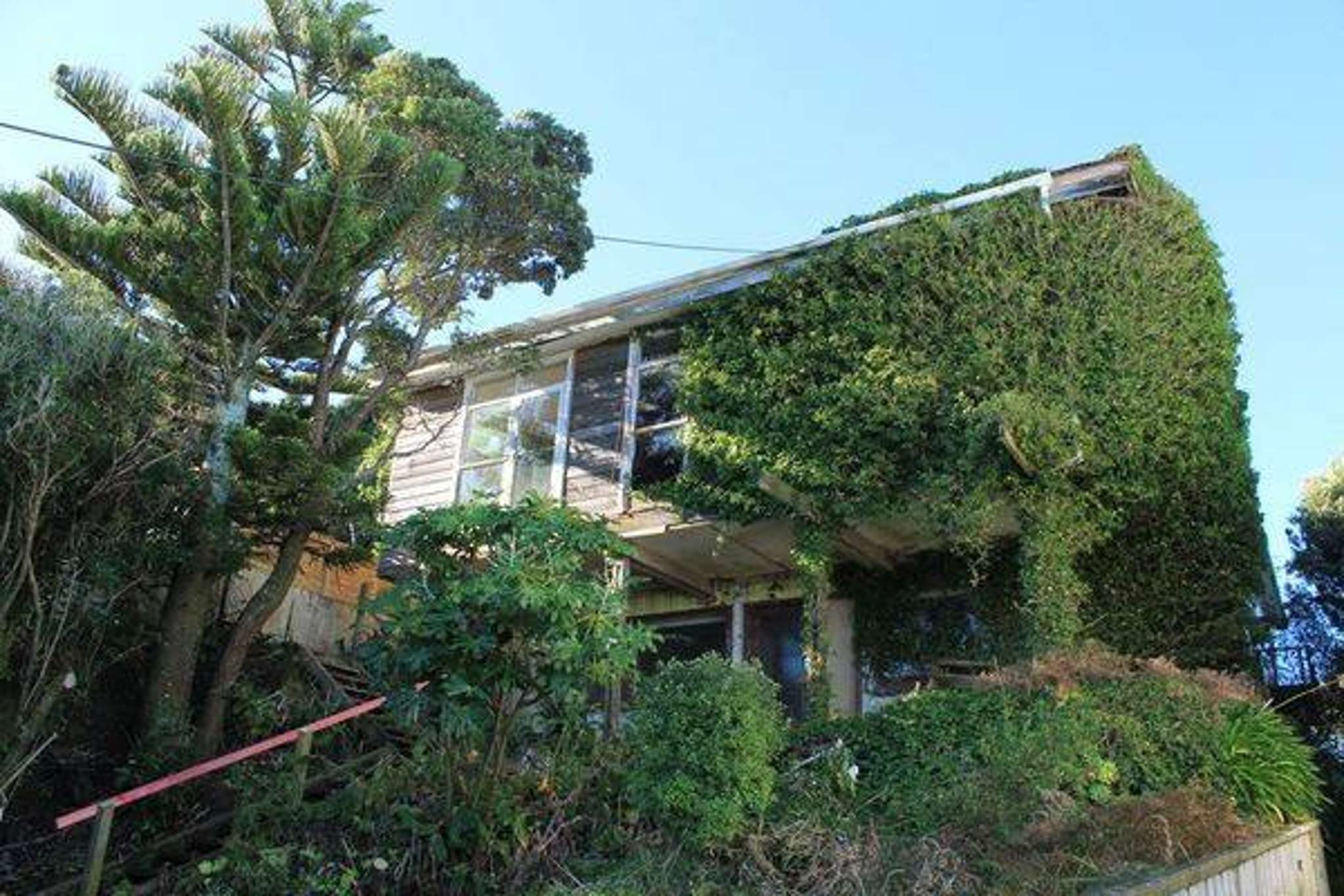 Young family buys derelict Wellington house with tree growing through it