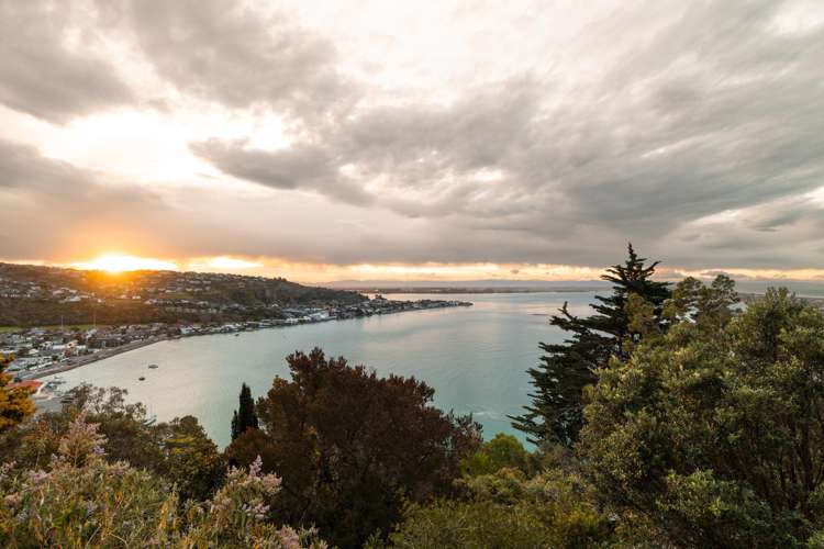 48 Kinsey Terrace Clifton_11