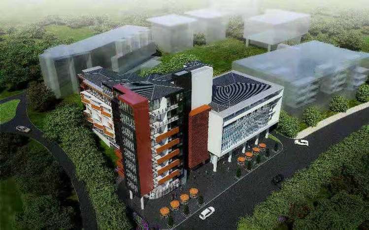 16 Oracle Drive Albany_5